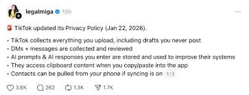 틱톡이 내 이민 신분을 감시한다고요? 너무 걱정 마세요, 진짜 이유는 이렇습니다