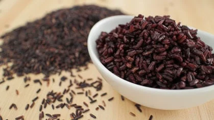 태국 라이스베리 쌀의 기적? 탈모 고민 해결할 ‘안토라이스’ 기술 상용화 임박