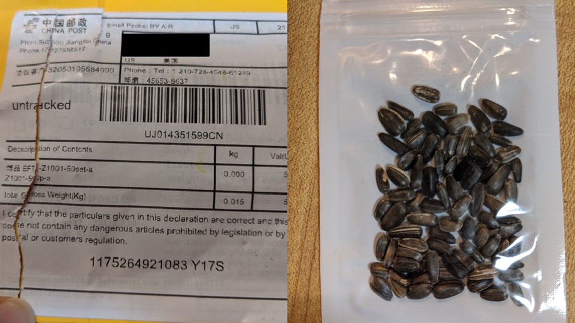 펜실베이니아 주민들 우편함에 정체불명 씨앗이 도착했습니다… 당국이 절대 심지 말라고 경고한 이유